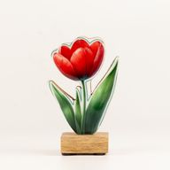 Plantas de madera para el hogar – Mini Tulipán