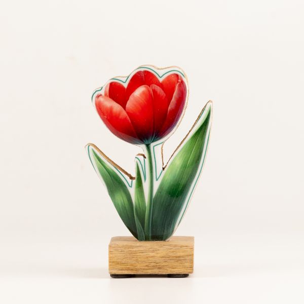 Plantas de madera para el hogar – Mini tulipán