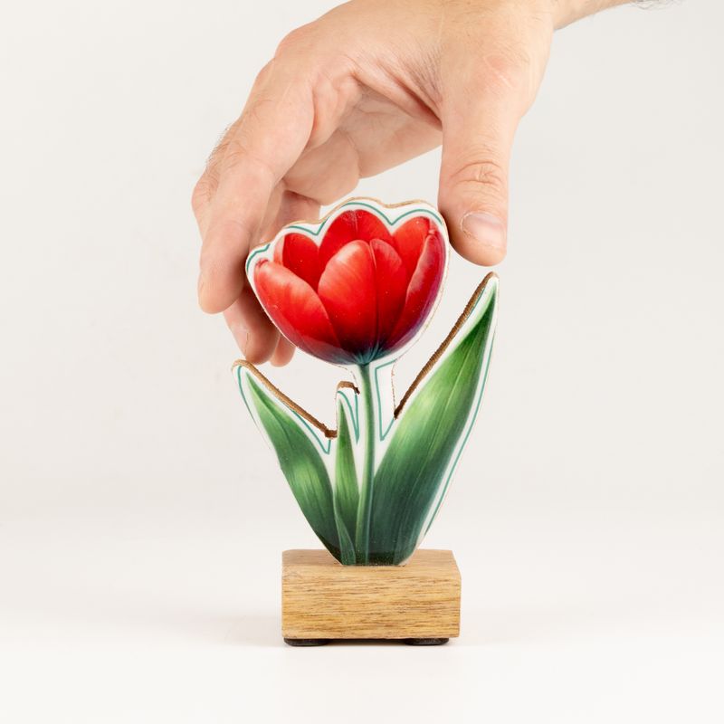 Plantas de madera para el hogar – Mini Tulipán