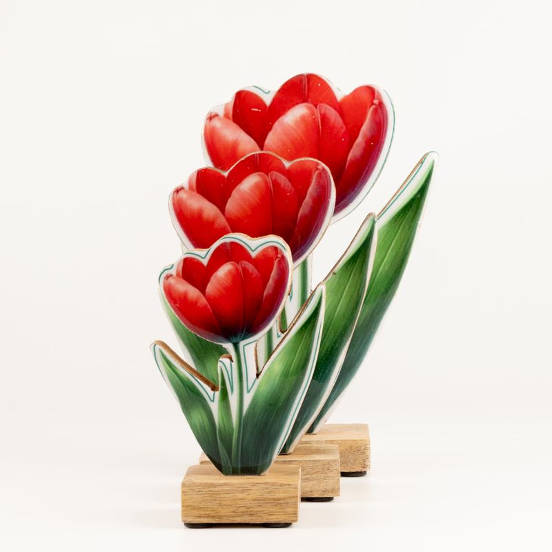 Plantas de madera para el hogar – Mini Tulipán