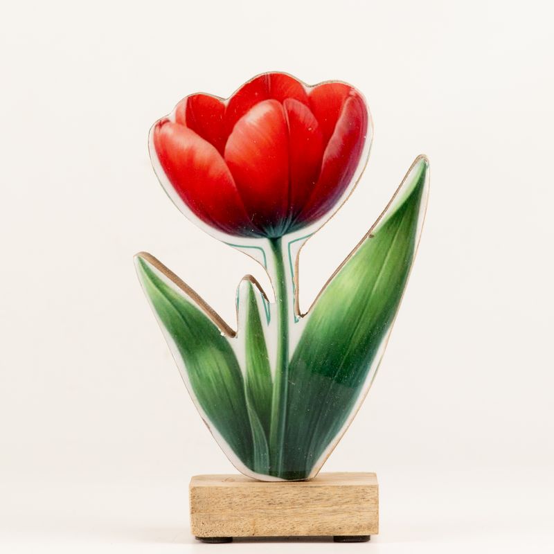 Plantas de madera para el hogar – Tulipán mediano