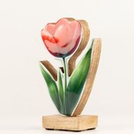 Plantas de madera para el hogar – Tulipán mediano