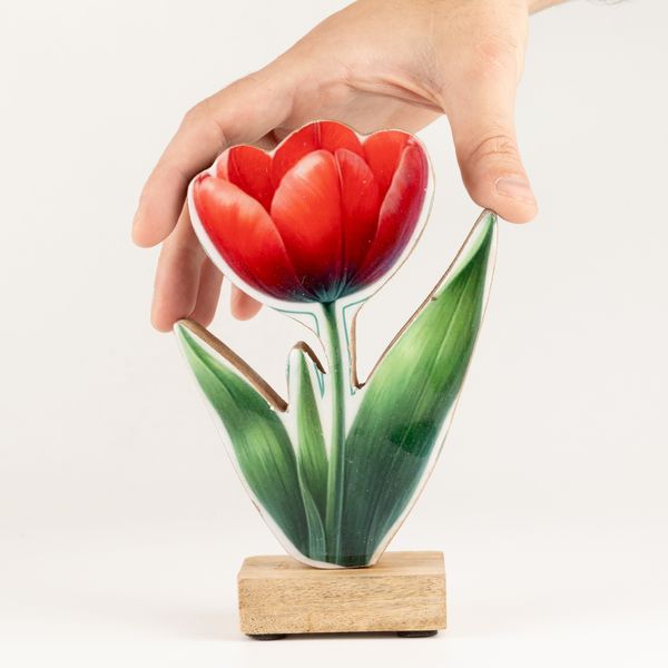 Plantas de madera para el hogar – Tulipán mediano