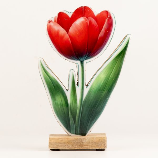 Plantas de madera para el hogar – Tulipán grande