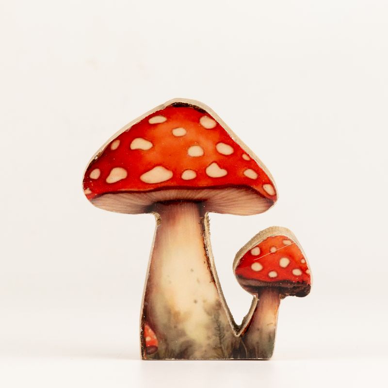 Plantas de madera – Mini seta de sombrero rojo