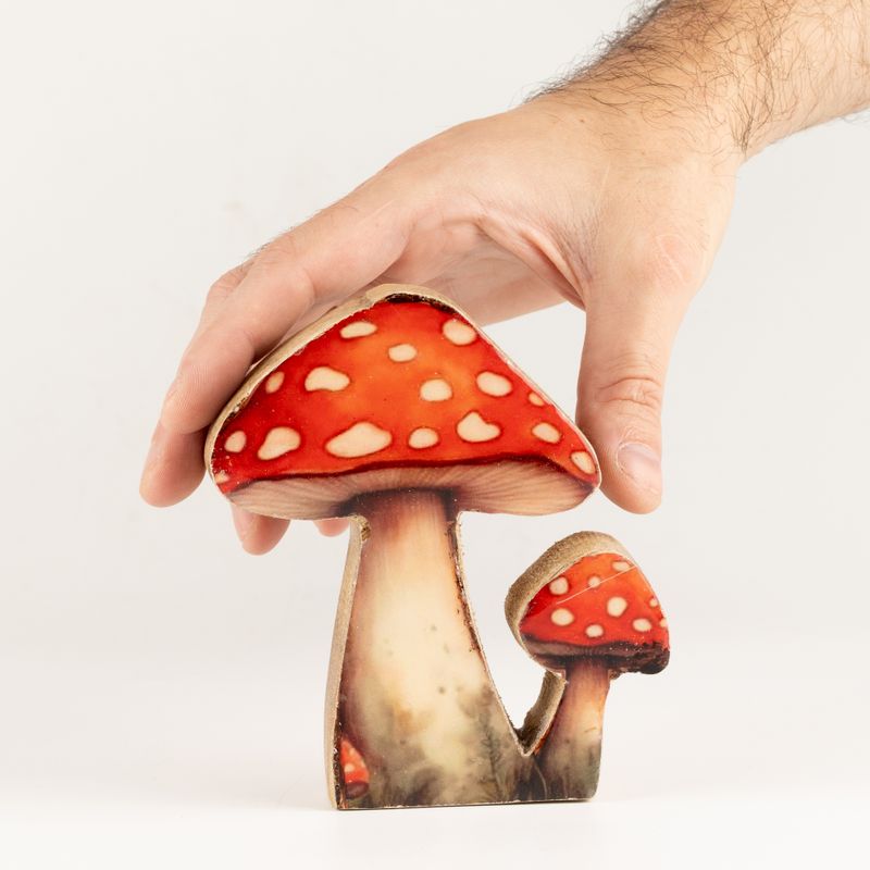 Plantas de madera – Mini seta de sombrero rojo