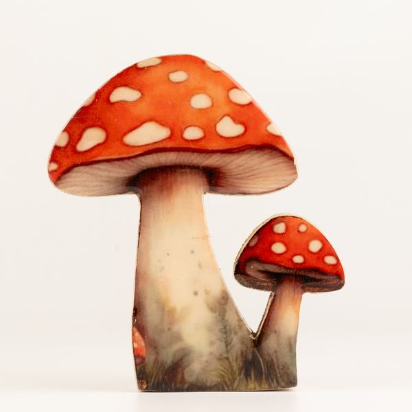 Plantas de madera para el hogar – Seta de sombrero rojo mediana
