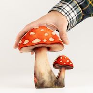 Plantas de madera para el hogar - Seta Redcap mediana