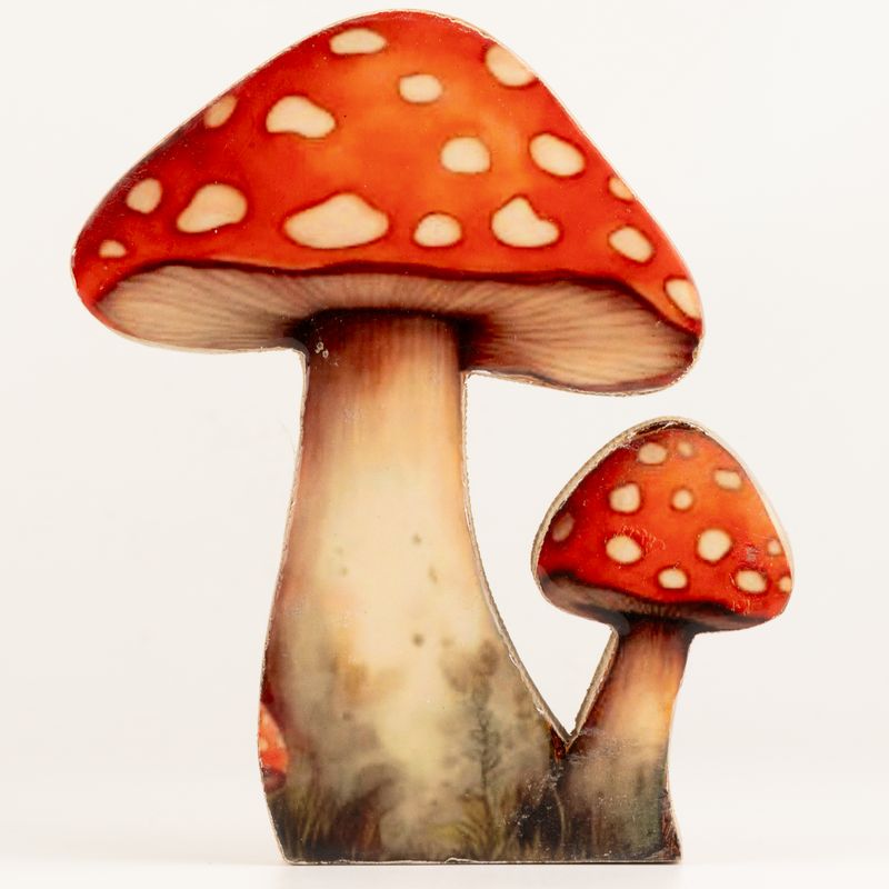 Plantas de madera para el hogar – Seta grande de sombrero rojo