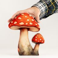 Plantas de madera para el hogar – Seta grande de sombrero rojo