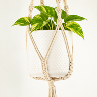 Colgador de macramé sencillo para macetas - Natural