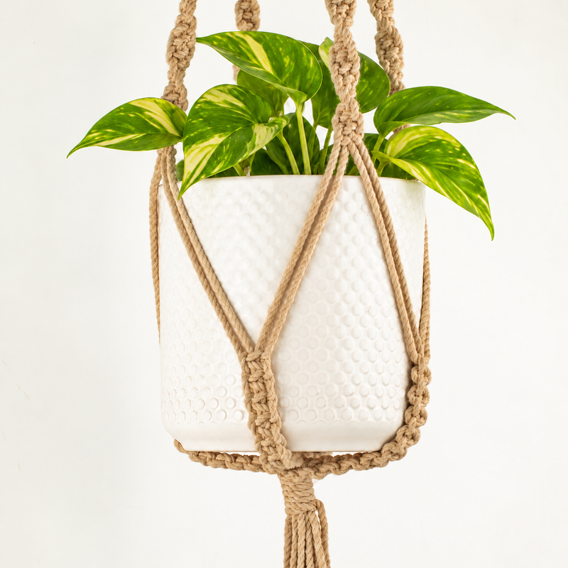 Colgador de macramé sencillo para macetas - Camal