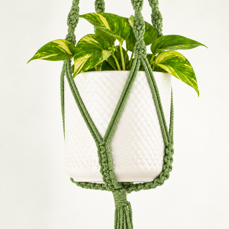 Colgador de macramé sencillo para macetas - Verde