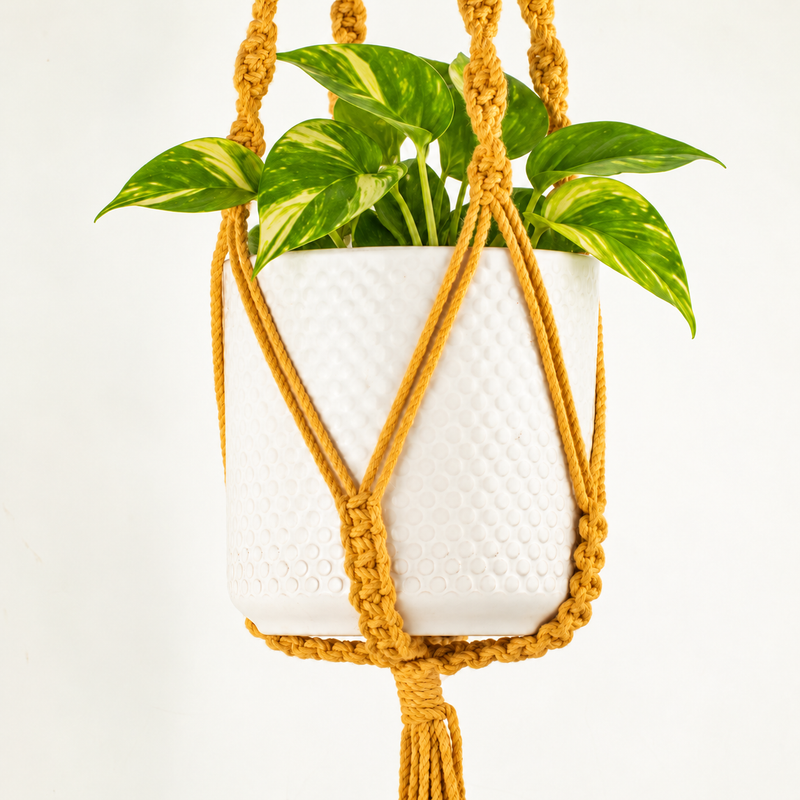 Colgador de macramé sencillo para macetas - Mostaza