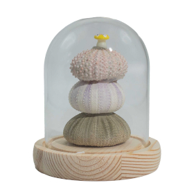 Cúpula de Jardín Floral Luminosa - 3 erizos de mar - LED USB