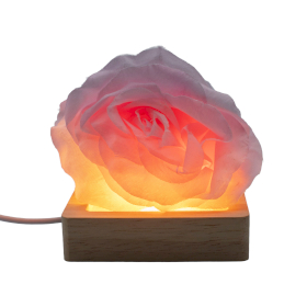 3x Base LED USB Cuadrada de Madera de 8 cm - Frío/Cálido/Luz diurna