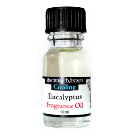 10x Aceites de Fragancia 10ml - Eucalipto