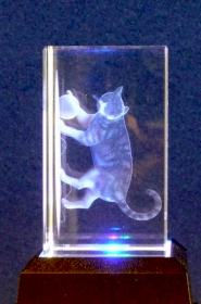 Cristal Lacerado- Gato