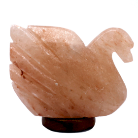 Formaa - Cisne 3x5x7