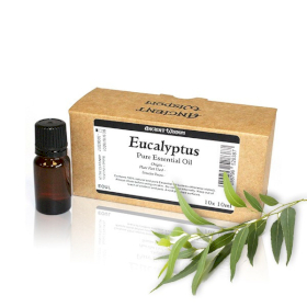10x 10ml Aceite esencial sin etiqueta eucalipto