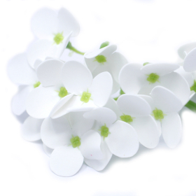 36x Flores de Jabón Manualidades - Jacinto - blanca