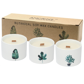 3x Velas Botánicas Medianas - Mullberry Harvest