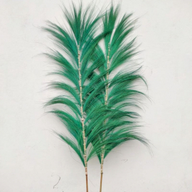 3x Palmera Verde de  Rayung  - 1.6m
