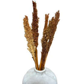 6x Manojo de hierba de Cantal - Óxido