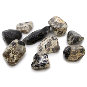 18x Piedras Naturales XL - Jaspe - Silverleaf