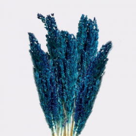 6x Manojo de hierba de Cantal - Azul