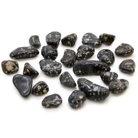 24x Pequeñas piedras africanas - Gallina de Guinea