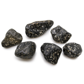 6x Piedras africanas grandes - Gallina de Guinea Grande