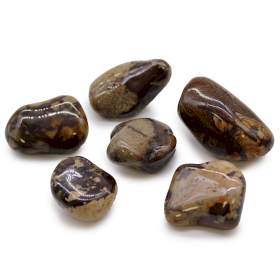 6x Piedras africanas grandes - Jasper Nguni