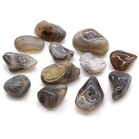 12x Piedras africanas medianas - Ágata gris - Botswana