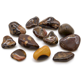 12x Piedras africanas medianas - Picture Nguni