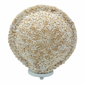 Lámpara Boho de Concha - Concha Redonda Grande - 30 cm