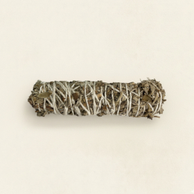 2x Atados de Salvia Banjara  - Salvia del Himalaya