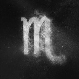 Proveedor de productos de escopio