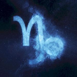 Proveedor de articulos capricornio