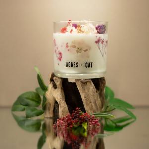Proveedor de velas de cera de soja Agnes and Cat
