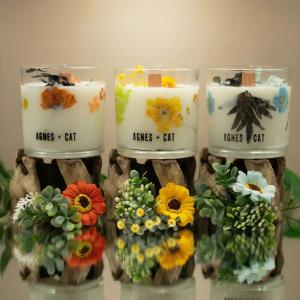 Mayorista de velas de cera de soja agnes and cat