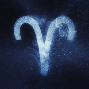 Proveedor de producto de aries