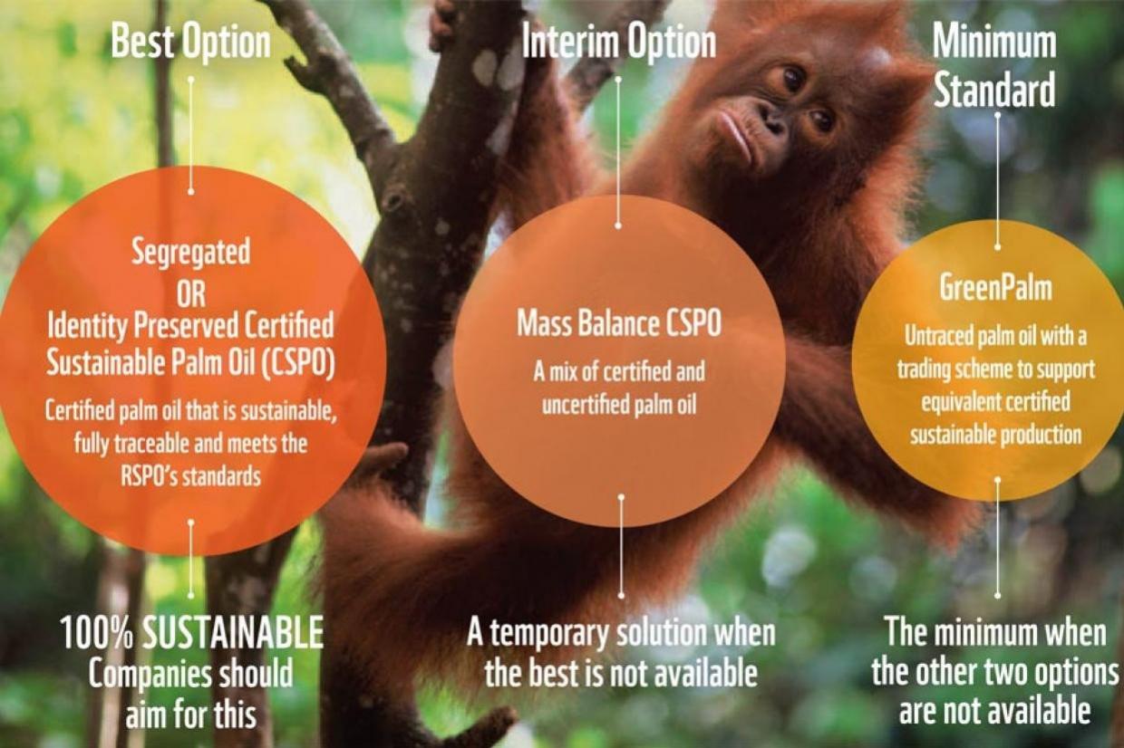 More about RSPO