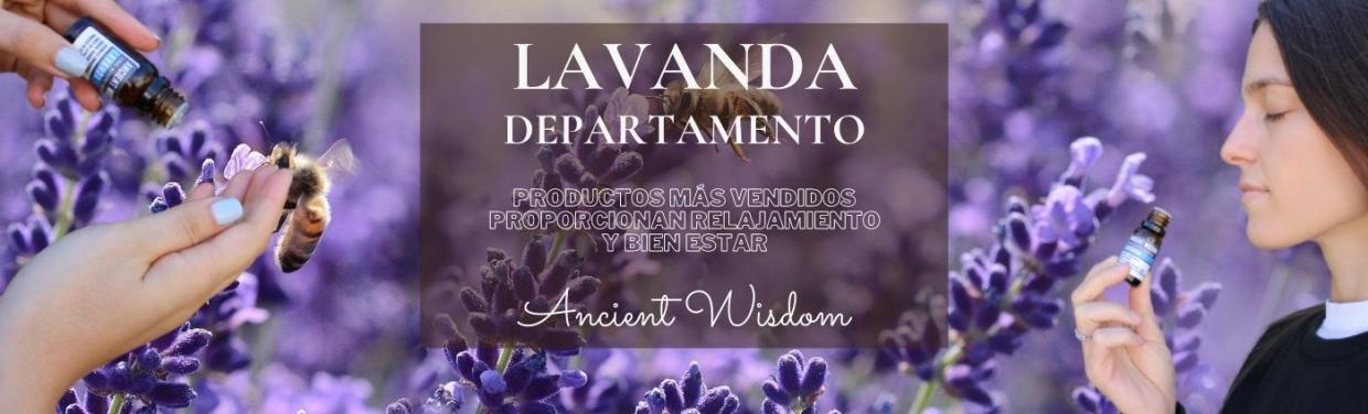 LAVANDA