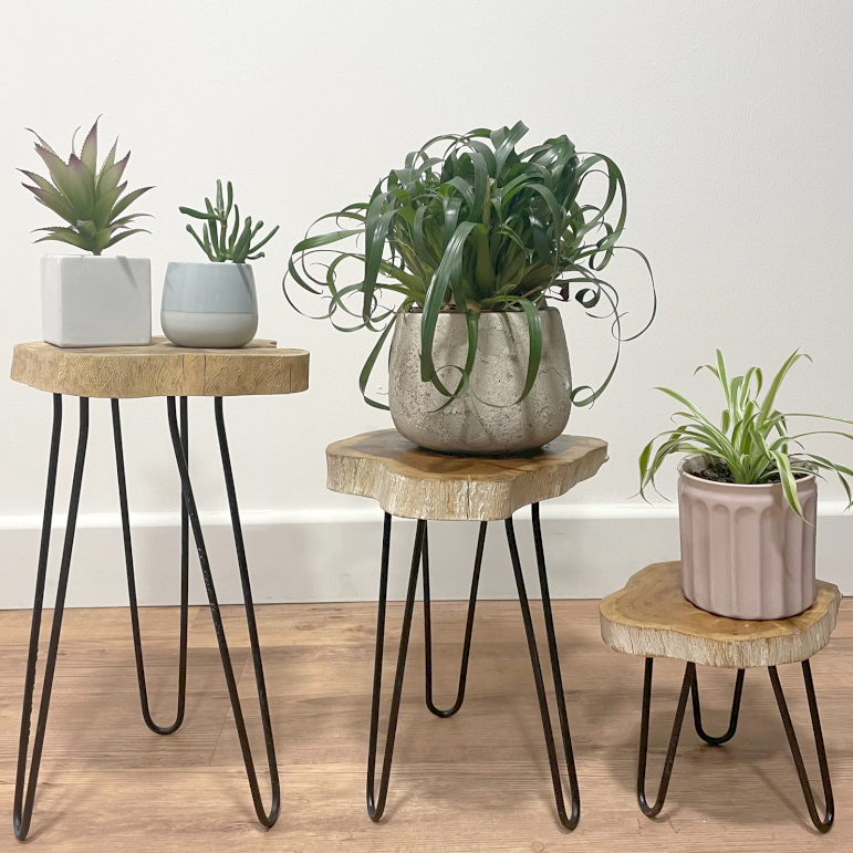 Proveedor de soportes para plantas