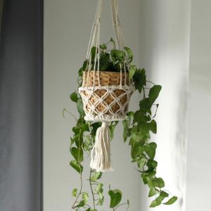 Proveedor maceteros macrame