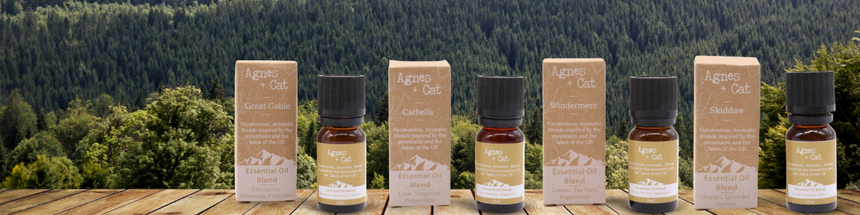 Proveedor de Mezclas de Aceites Esenciales