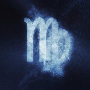 proveedor de productos de virgo