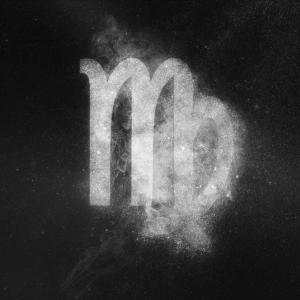 proveedor de productos de virgo